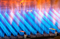 Newton Flotman gas fired boilers